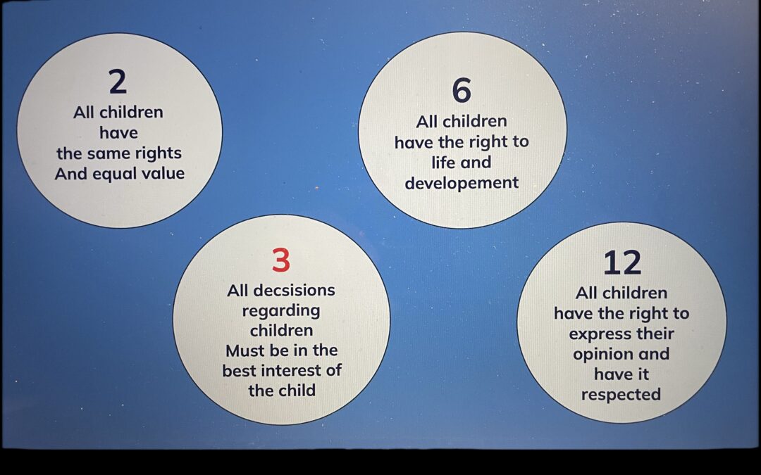 Open Letter to Regional Politicians in Halland