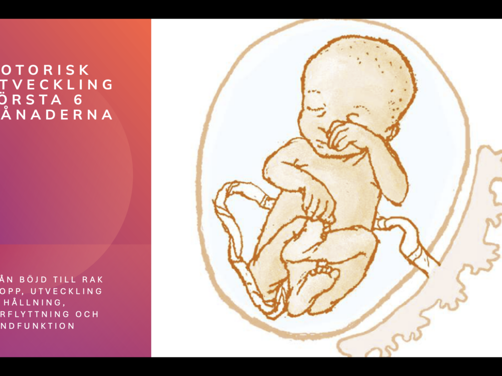 Motorisk utveckling 0-sex månader - en guide för föräldrar